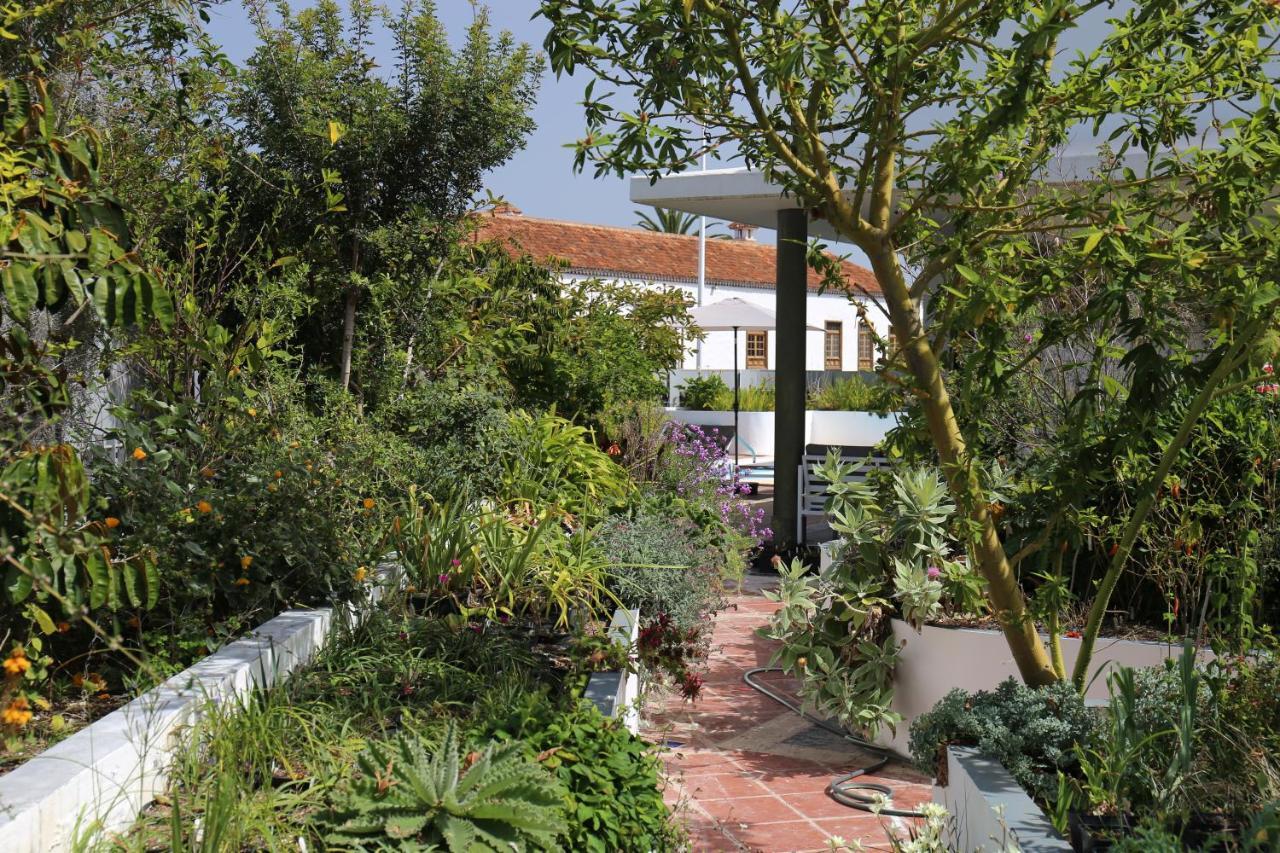 Jungle Paradise La Orotava Exterior foto
